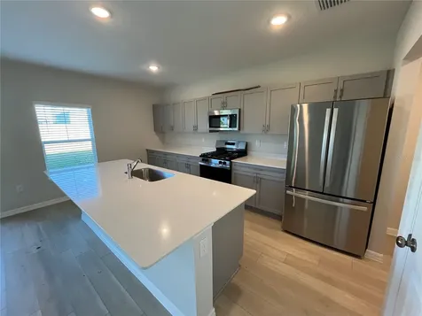 14789 Summer Branch Drive Lithia FL 33547