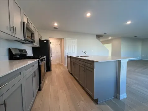 14789 Summer Branch Drive Lithia FL 33547