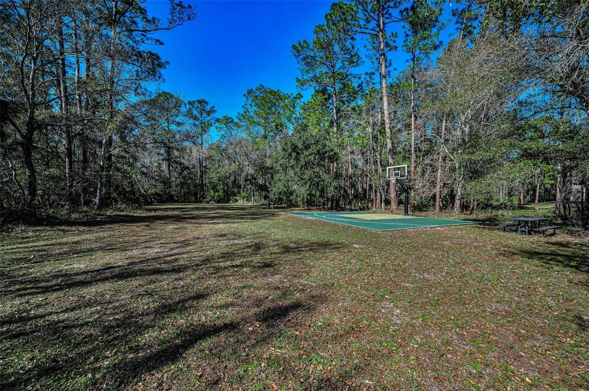 10709 Watula Court New Port Richey FL 34655