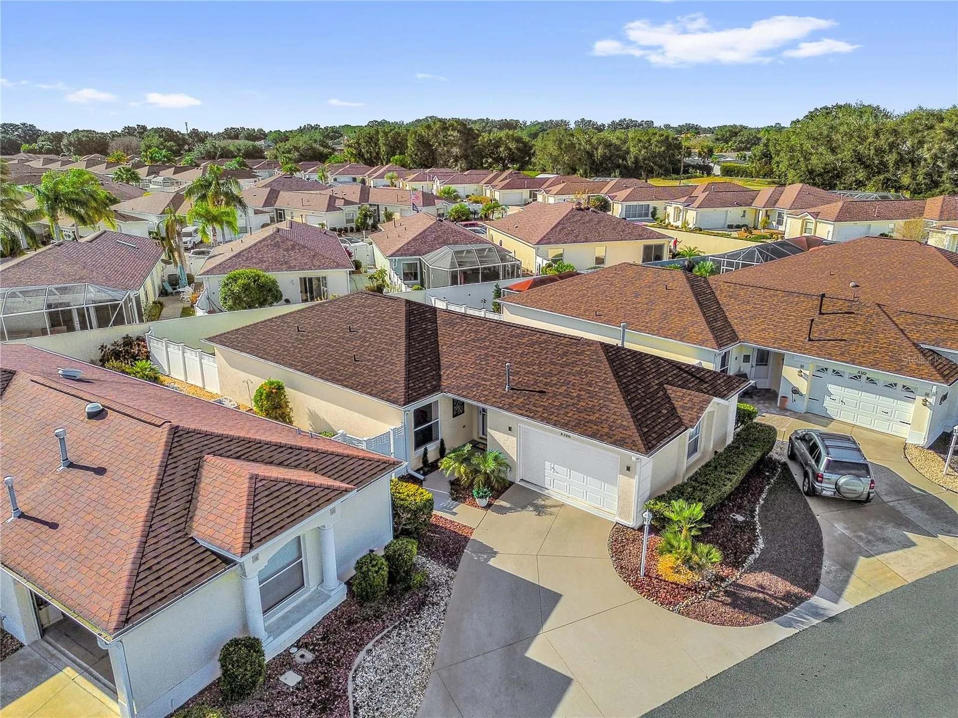 8386 SE 173rd Hamilton Place The Villages FL 32162