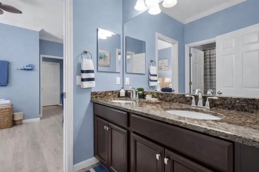10223 Caraway Spice Avenue Riverview FL 33578