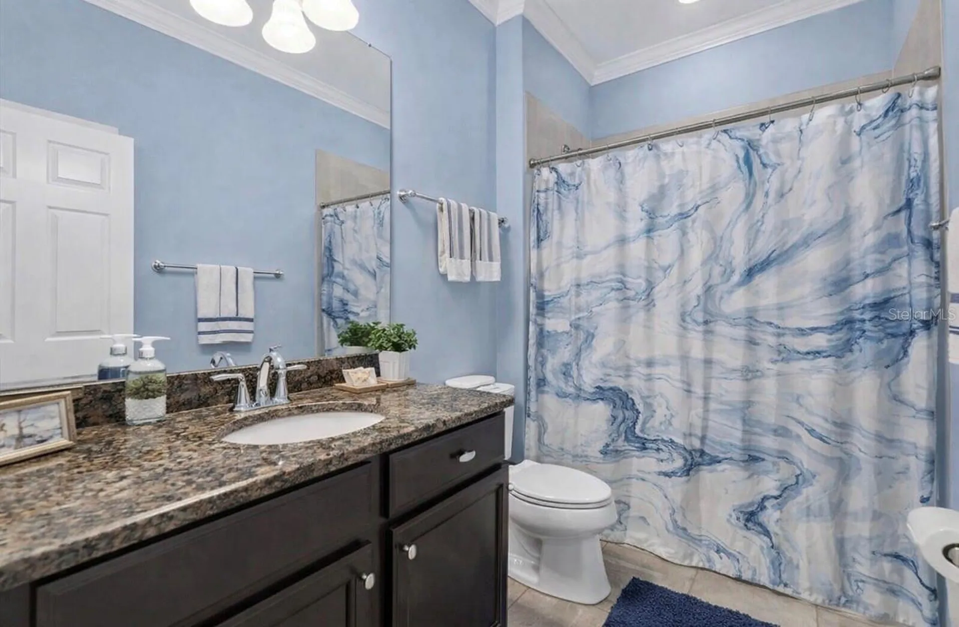 10223 Caraway Spice Avenue Riverview FL 33578