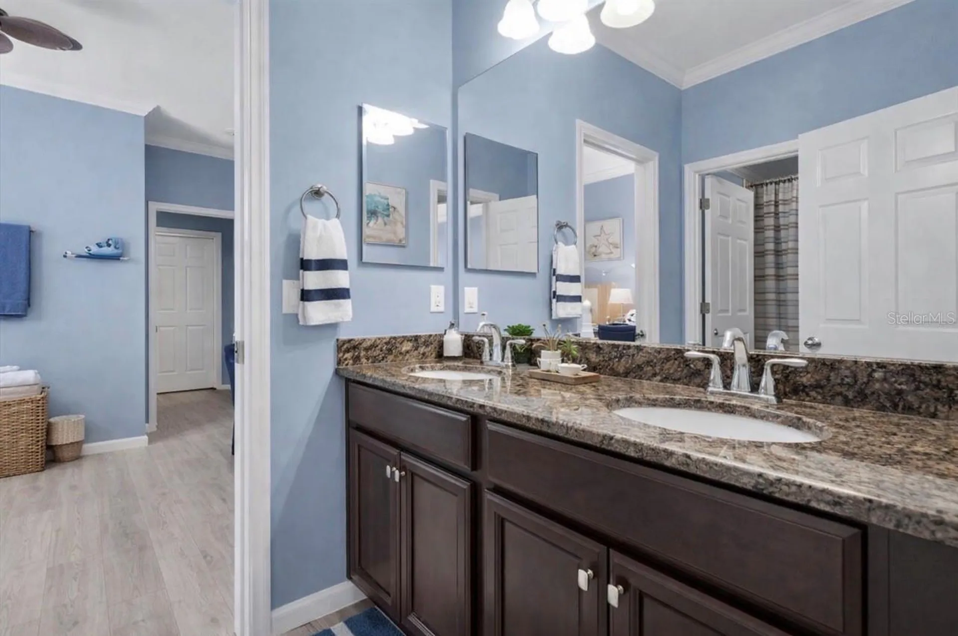 10223 Caraway Spice Avenue Riverview FL 33578