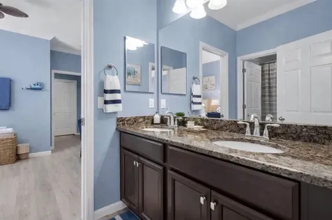 10223 Caraway Spice Avenue Riverview FL 33578