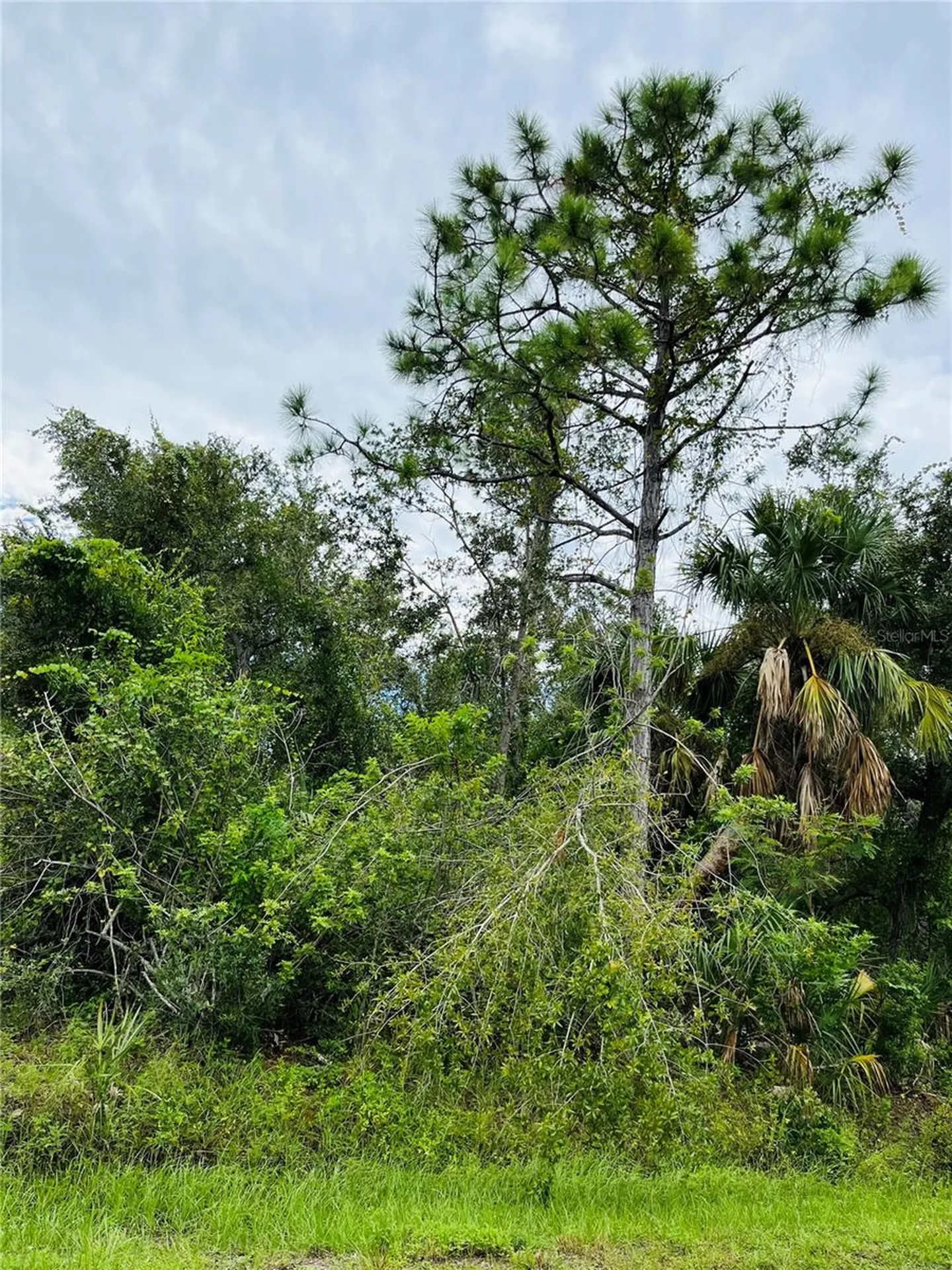 26145 Flower Road Punta Gorda FL 33955