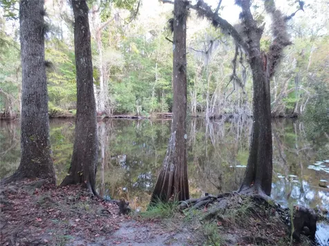 1984 SE 171st Court Silver Springs FL 34488