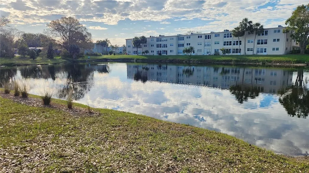 1016 De Soto Drive Dunedin FL 34698