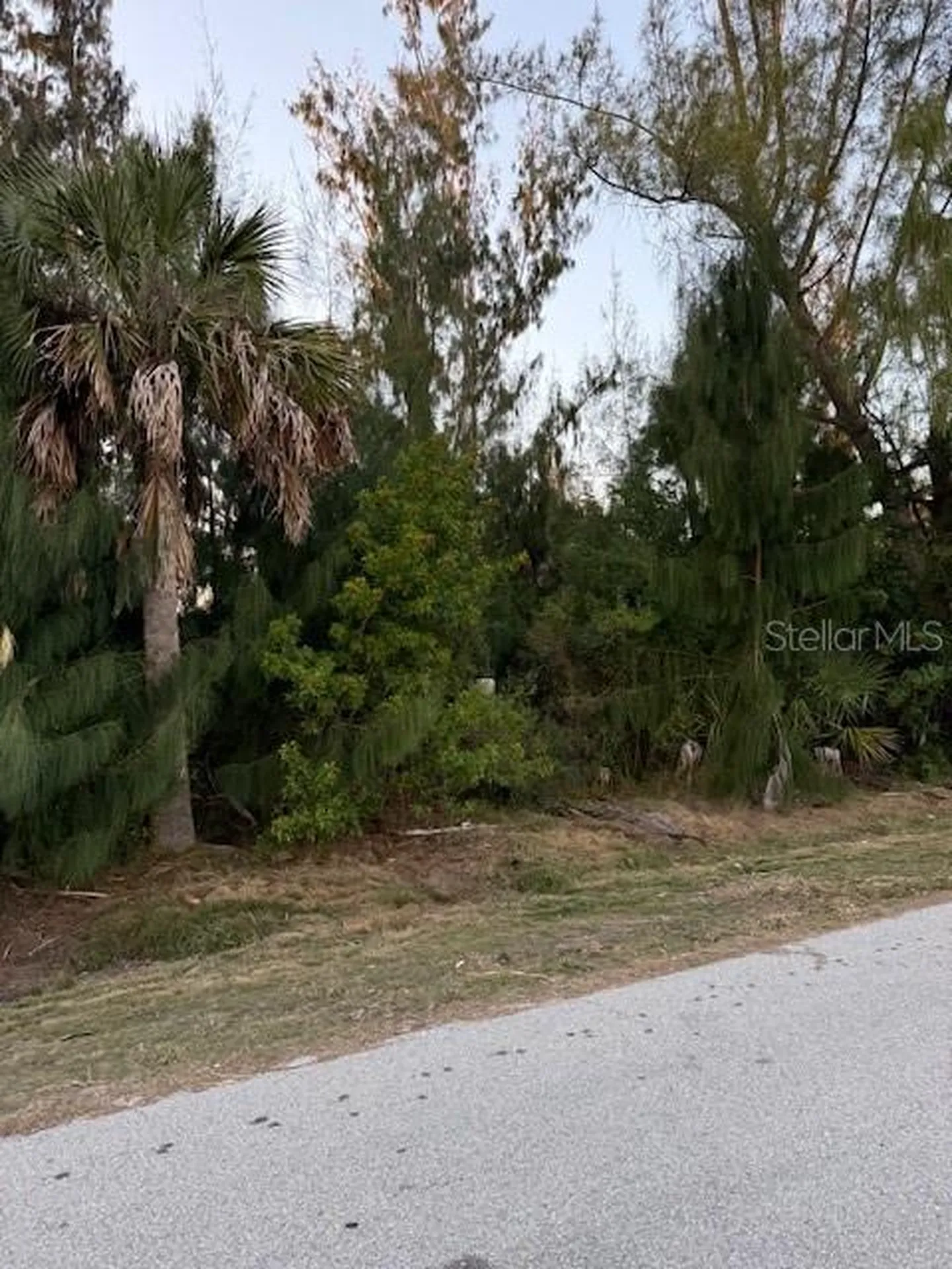 3915 Magnolia Way Punta Gorda FL 33950