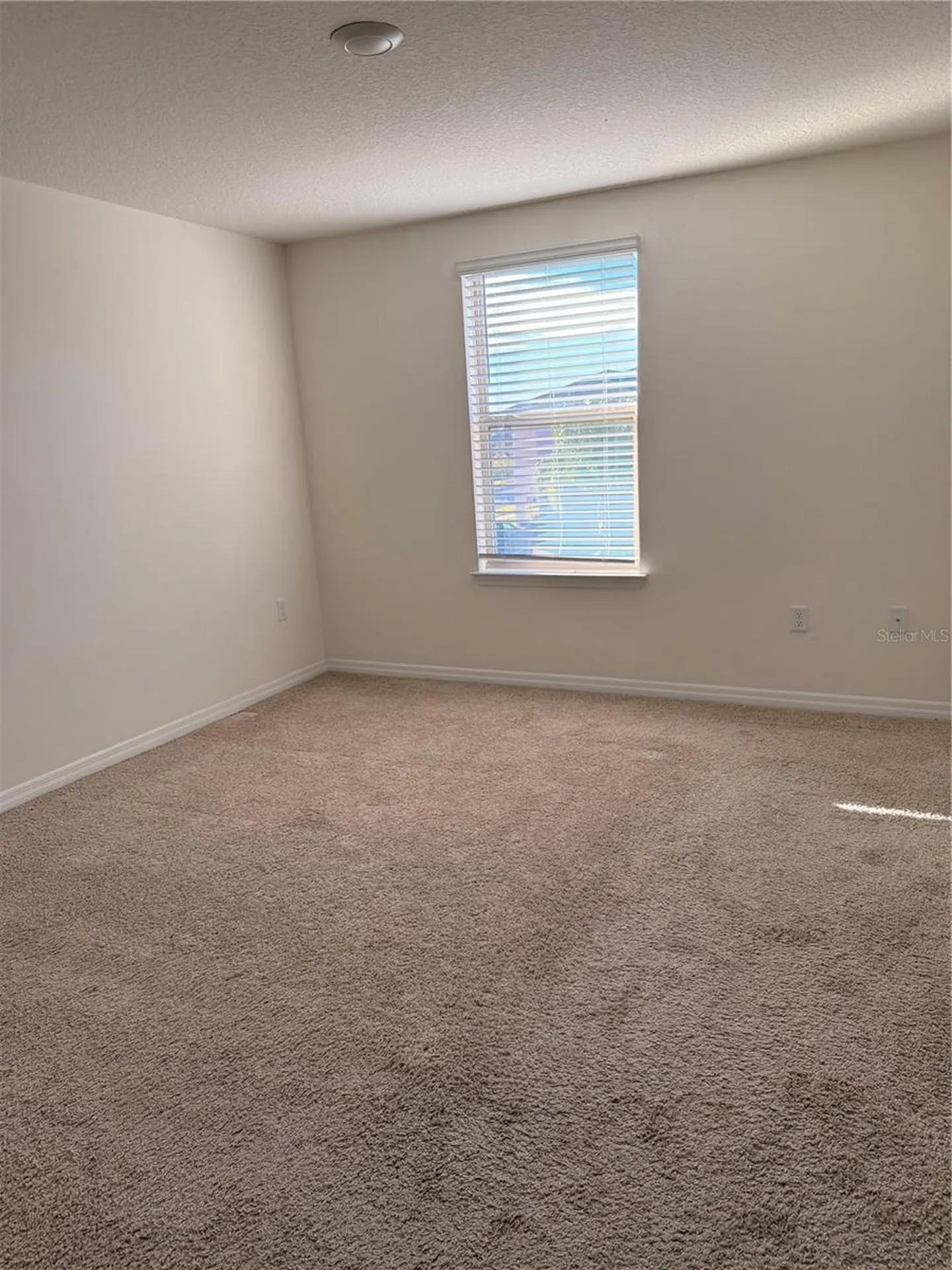 12012 Holystone Street Winter Garden FL 34787