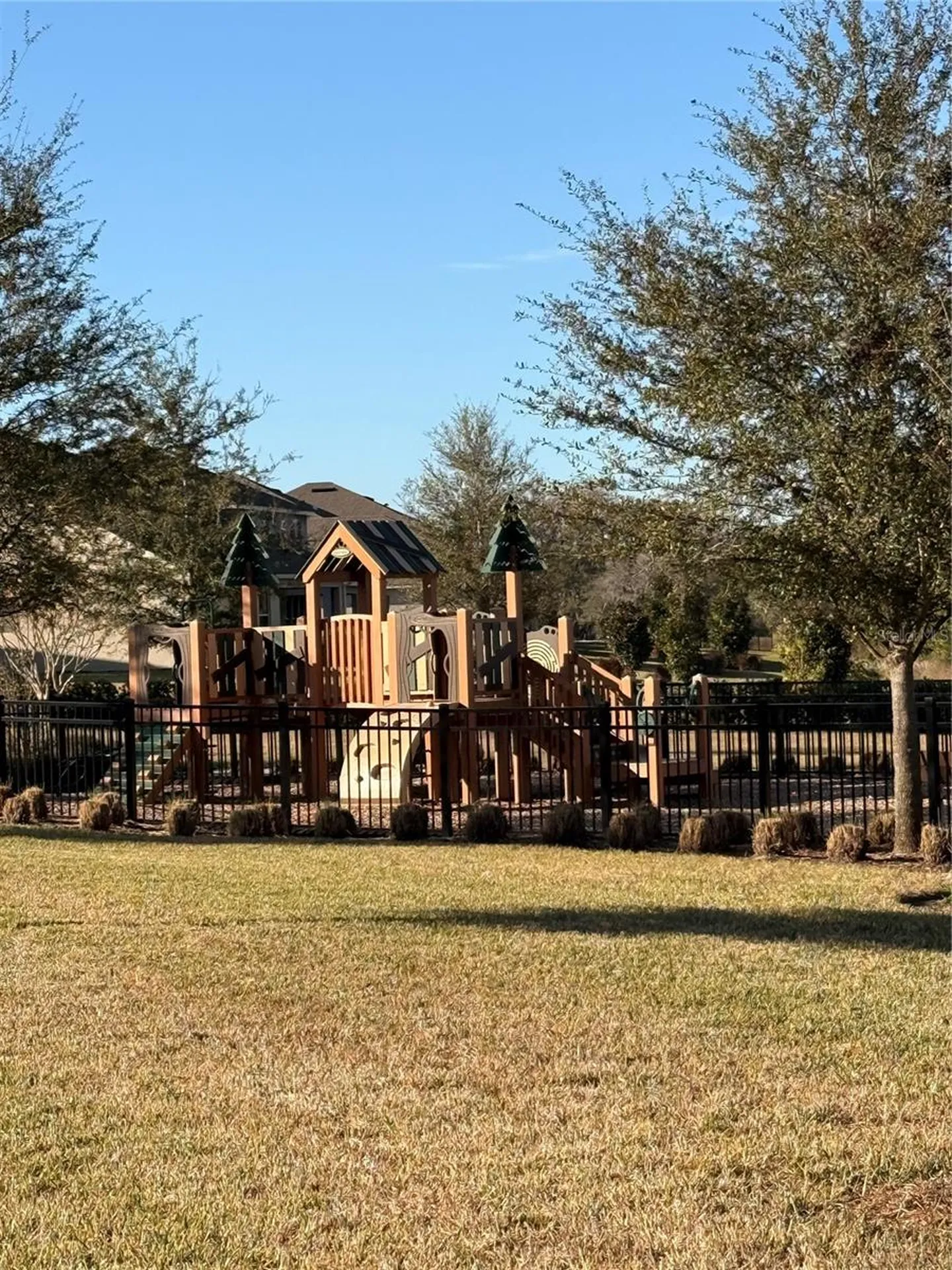 12012 Holystone Street Winter Garden FL 34787