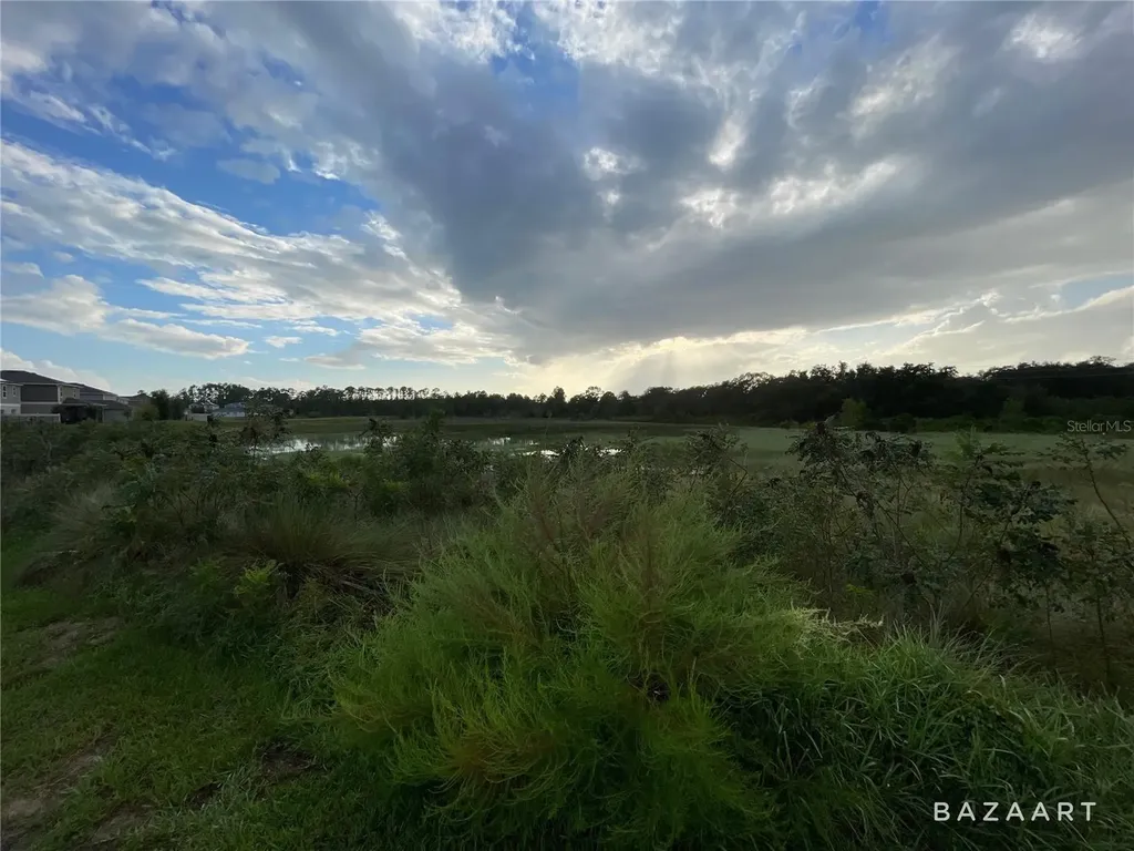 1361 Sawgrass Hammock Lane Davenport FL 33837