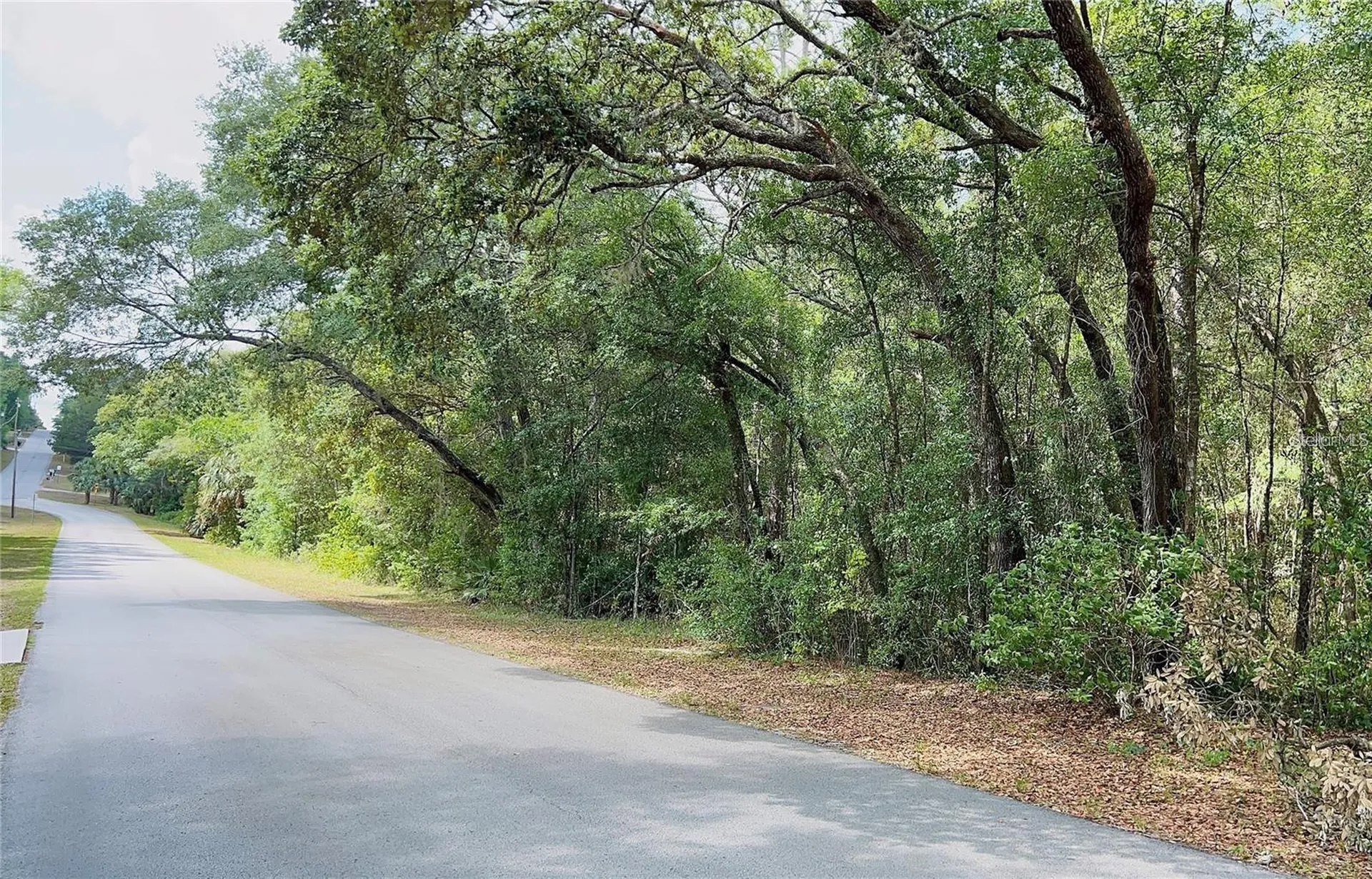 8 S Bauer Road Lecanto FL 34461