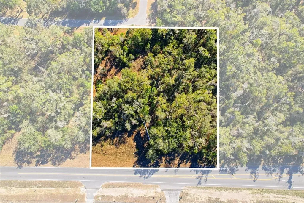 7021 & 7017 N Lecanto Highway Hernando FL 34442