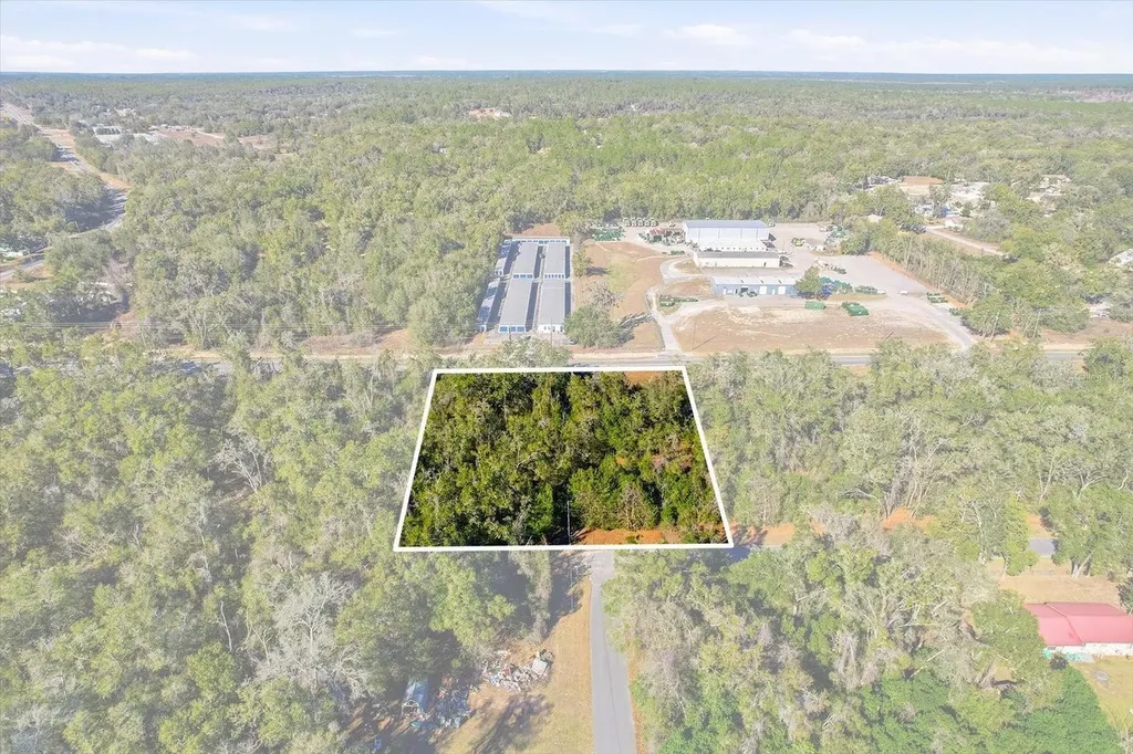 7021 & 7017 N Lecanto Highway Hernando FL 34442