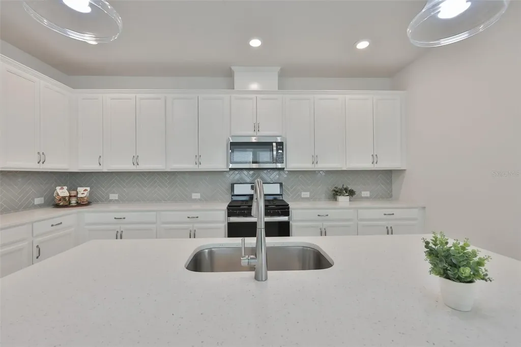 13908 Kingfisher Glen Drive Lithia FL 33547