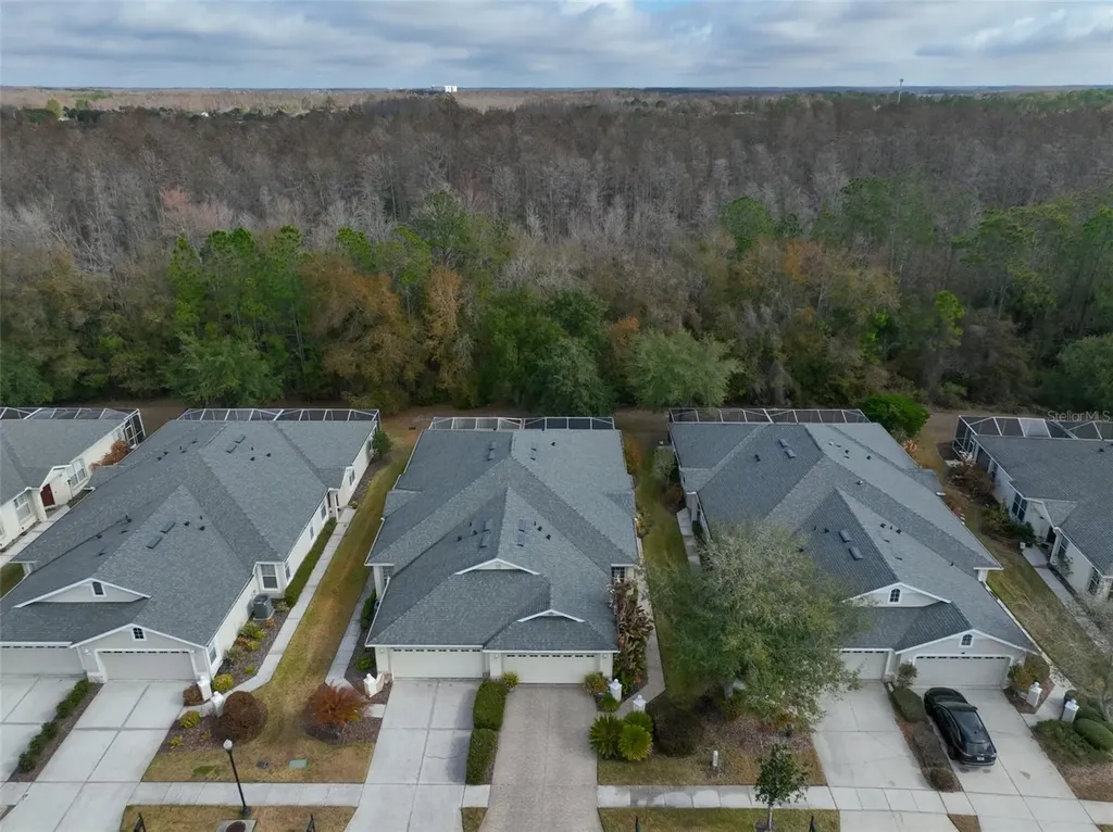 3502 Chapel Creek Circle Wesley Chapel FL 33544