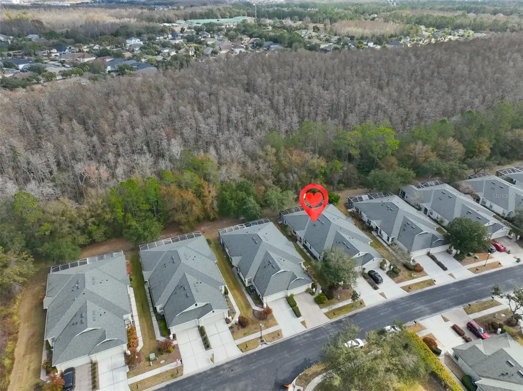 3502 Chapel Creek Circle Wesley Chapel FL 33544
