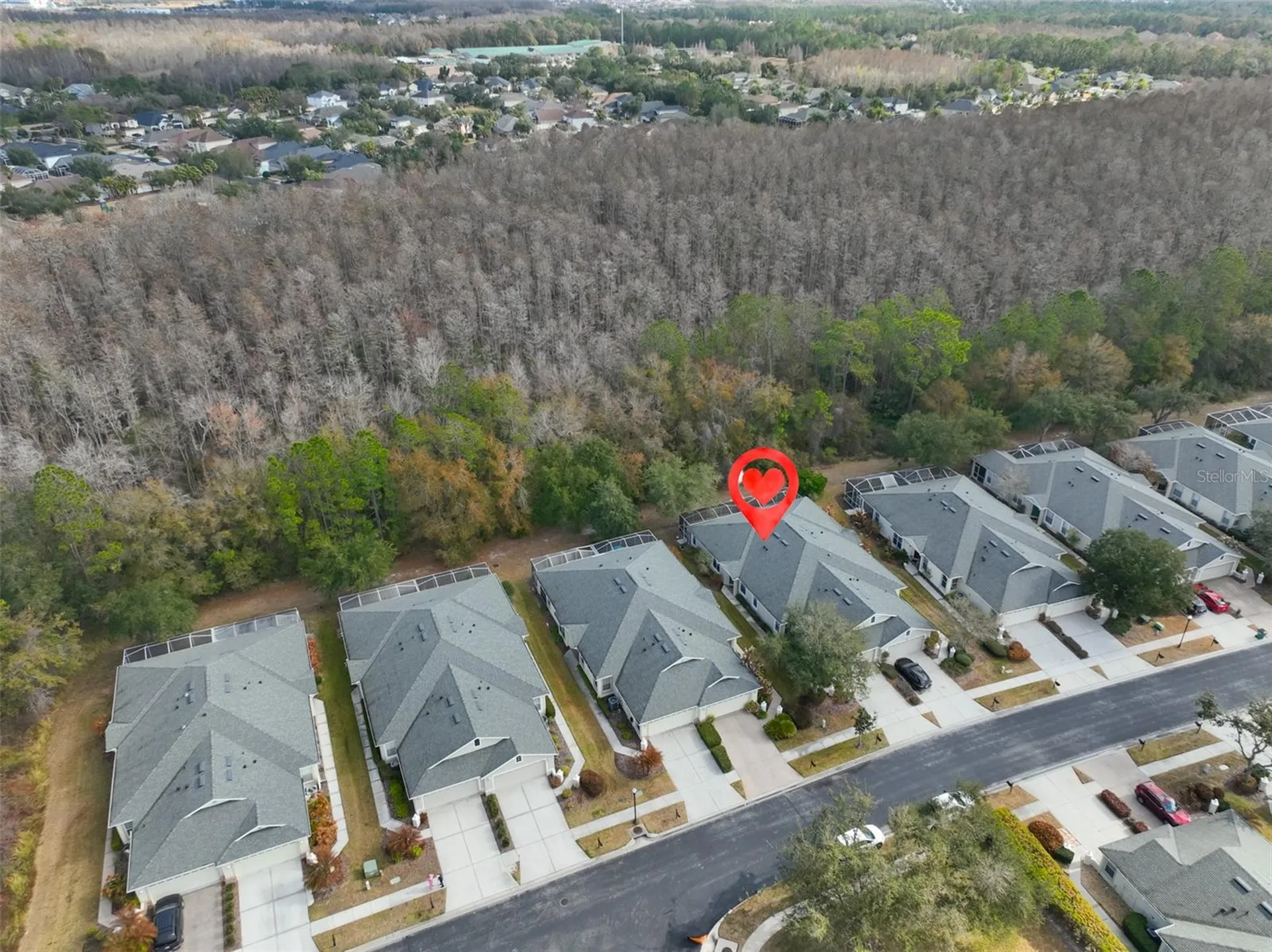 3502 Chapel Creek Circle Wesley Chapel FL 33544