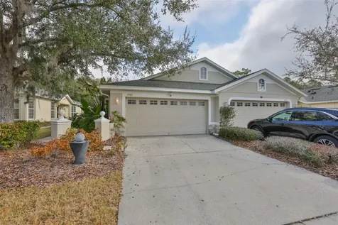 3502 Chapel Creek Circle Wesley Chapel FL 33544