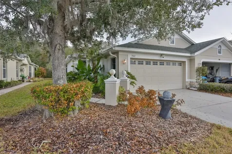 3502 Chapel Creek Circle Wesley Chapel FL 33544