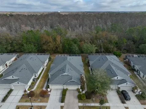 3502 Chapel Creek Circle Wesley Chapel FL 33544