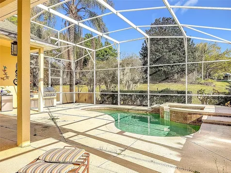 2833 Falcon Ridge Clermont FL 34711