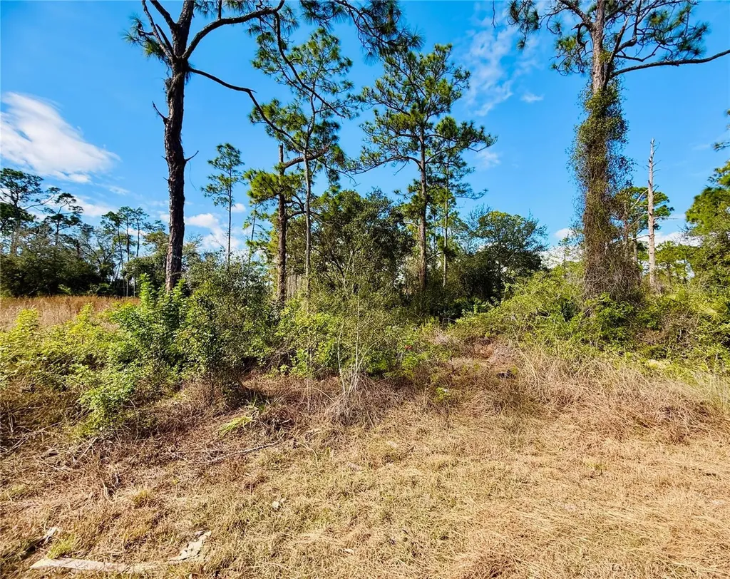 2007 Truman Avenue Alva FL 33920