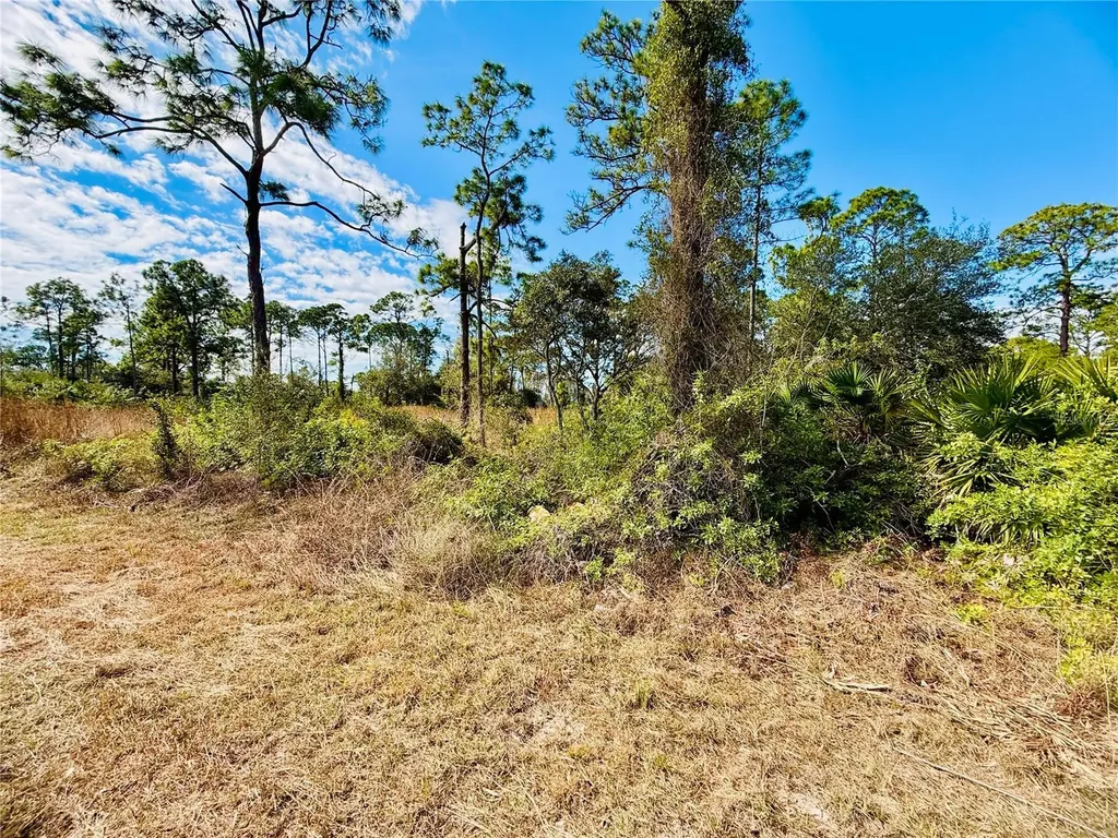 2007 Truman Avenue Alva FL 33920