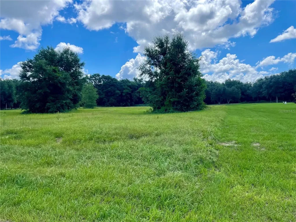 18340 Great Blue Heron Drive Groveland FL 34736