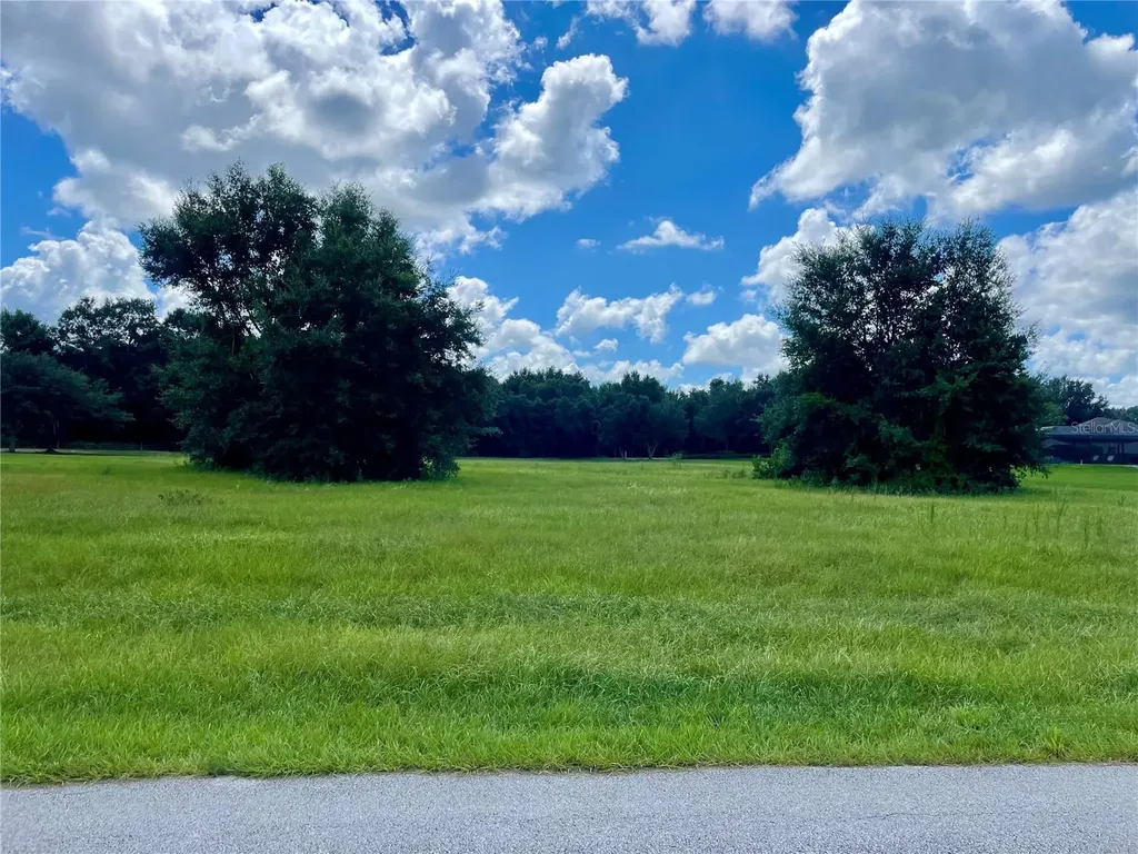 18340 Great Blue Heron Drive Groveland FL 34736