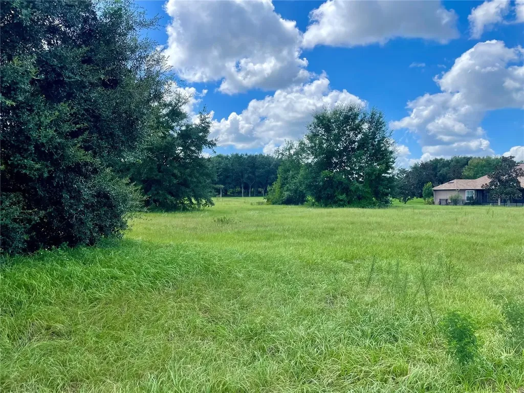 18340 Great Blue Heron Drive Groveland FL 34736