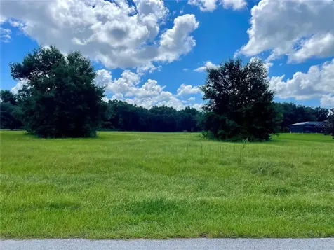 18340 Great Blue Heron Drive Groveland FL 34736