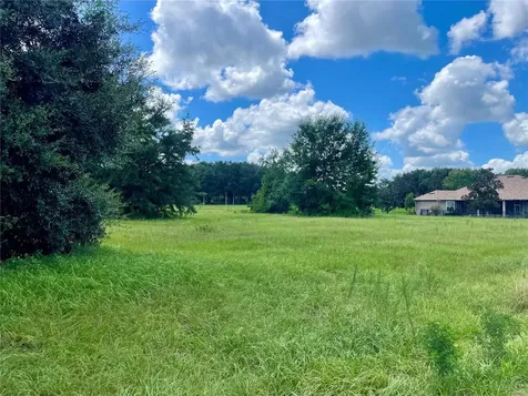 18340 Great Blue Heron Drive Groveland FL 34736