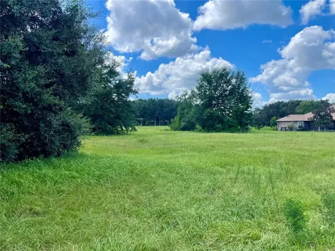 18340 Great Blue Heron Drive Groveland FL 34736