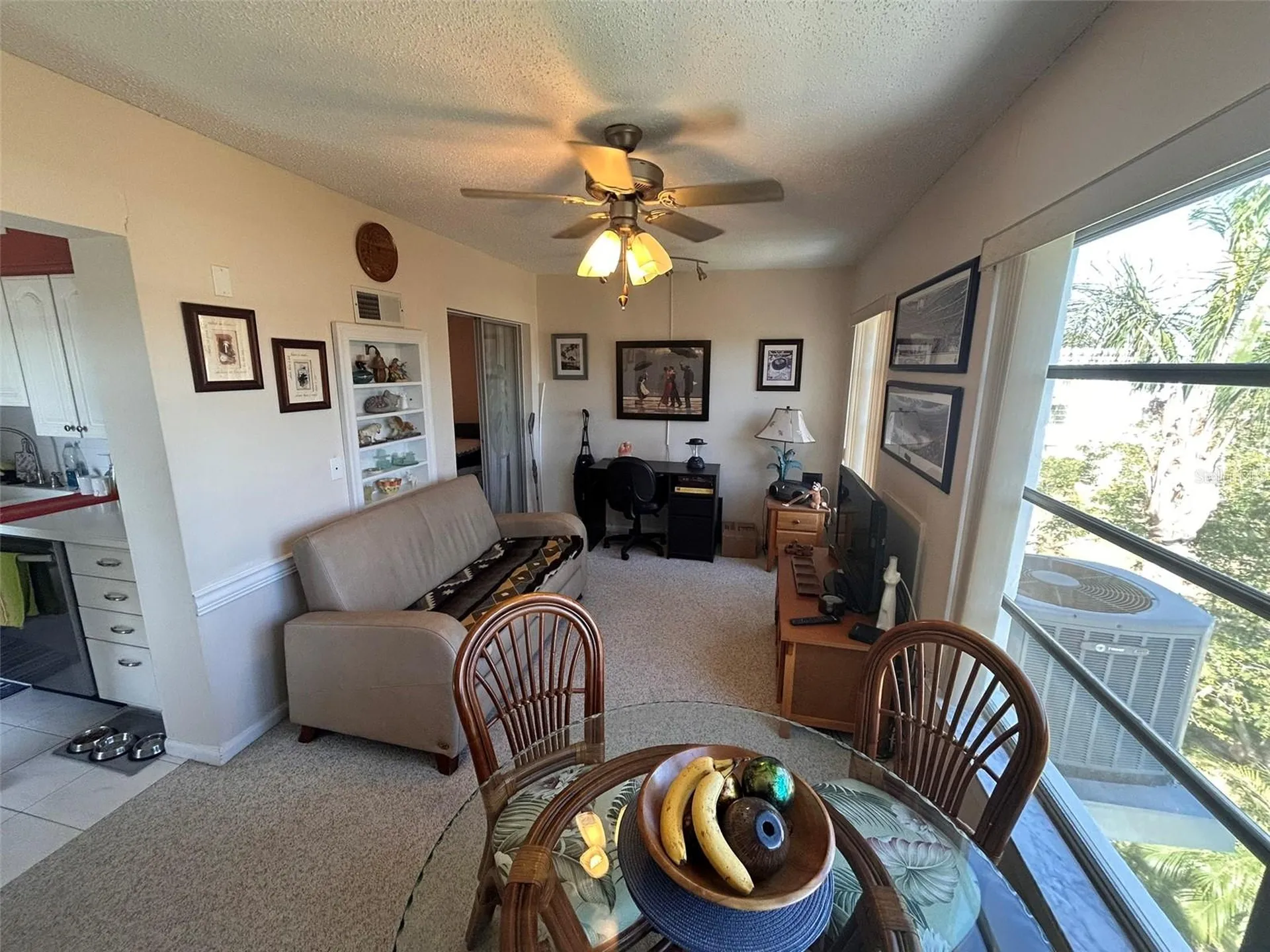 2428 Columbia Drive Clearwater FL 33763