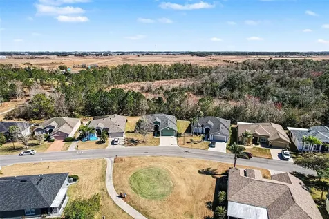 10118 Cleghorn Drive San Antonio FL 33576