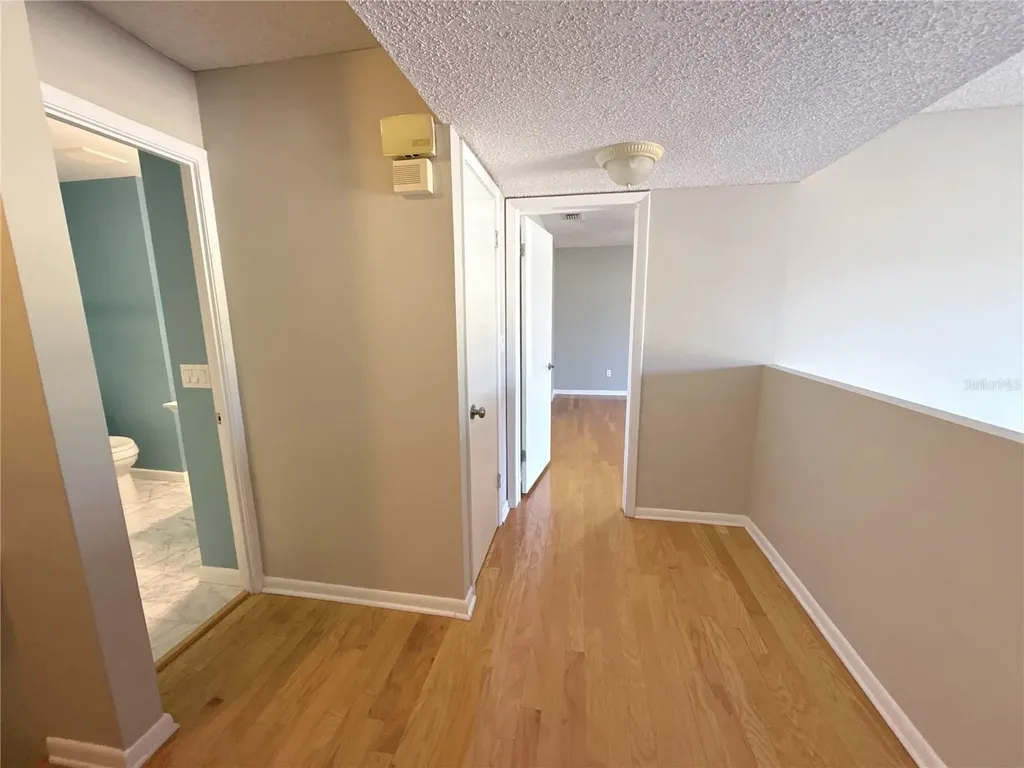 13516 Palmwood Lane Tampa FL 33618