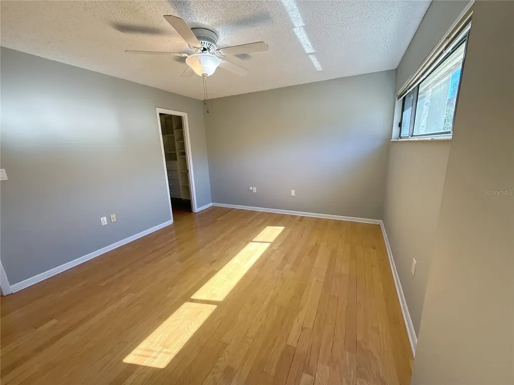 13516 Palmwood Lane Tampa FL 33618