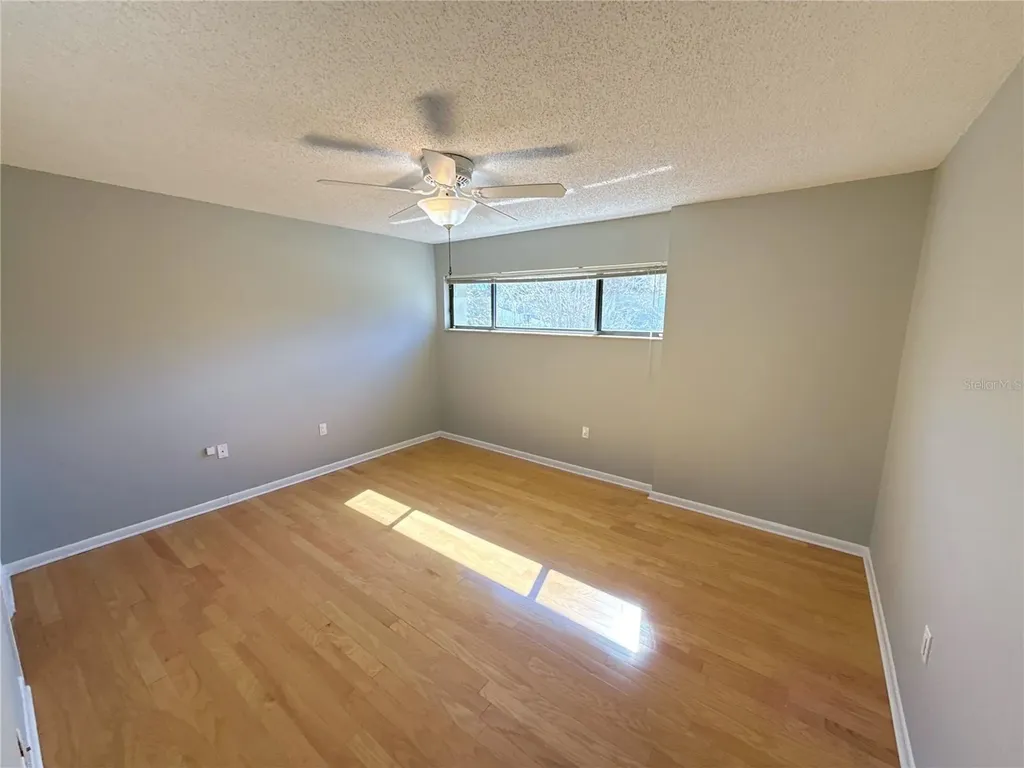 13516 Palmwood Lane Tampa FL 33618
