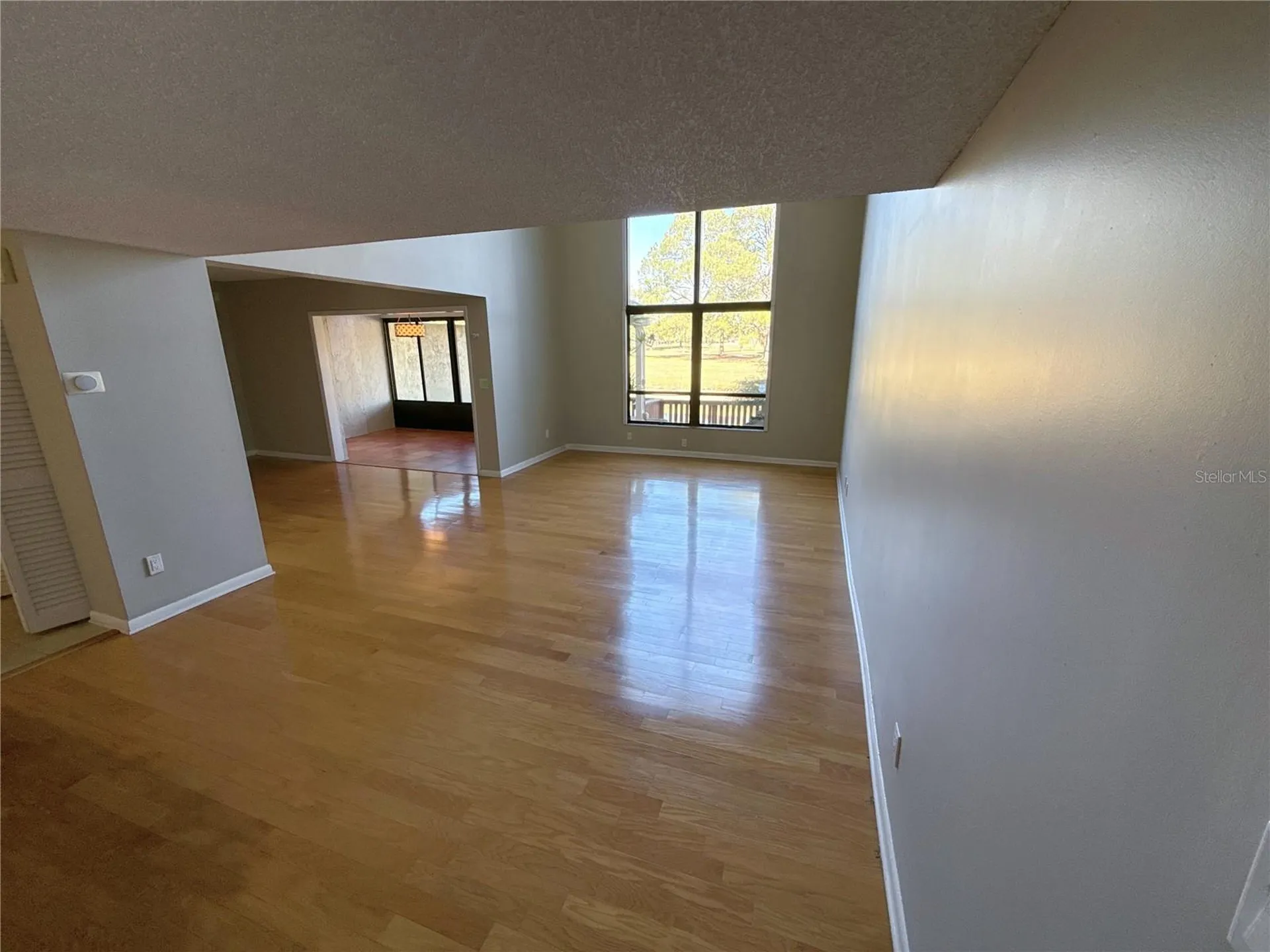 13516 Palmwood Lane Tampa FL 33618