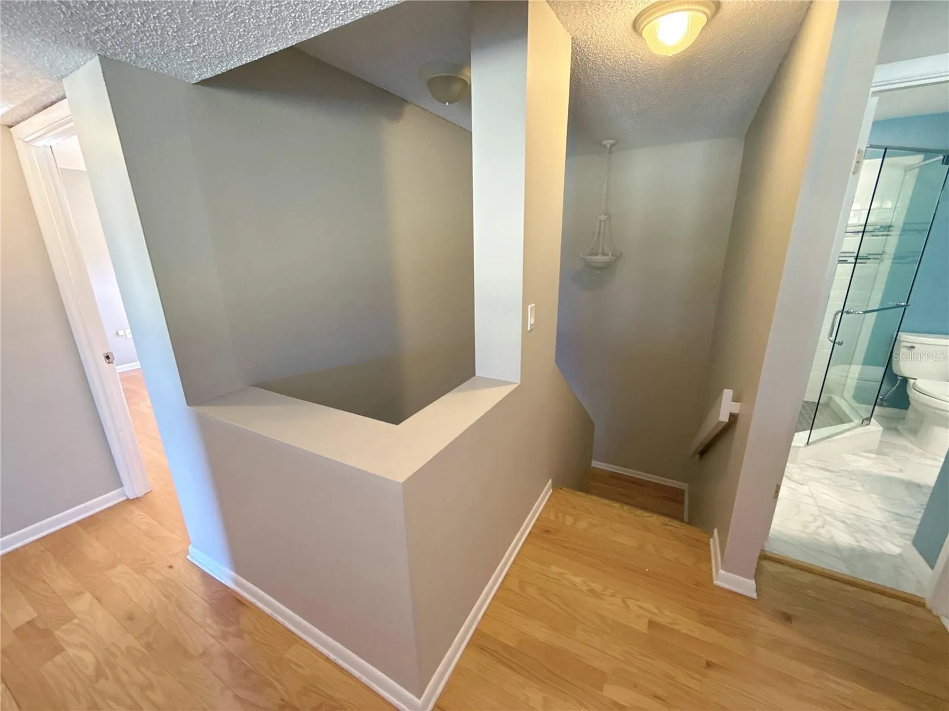 13516 Palmwood Lane Tampa FL 33618