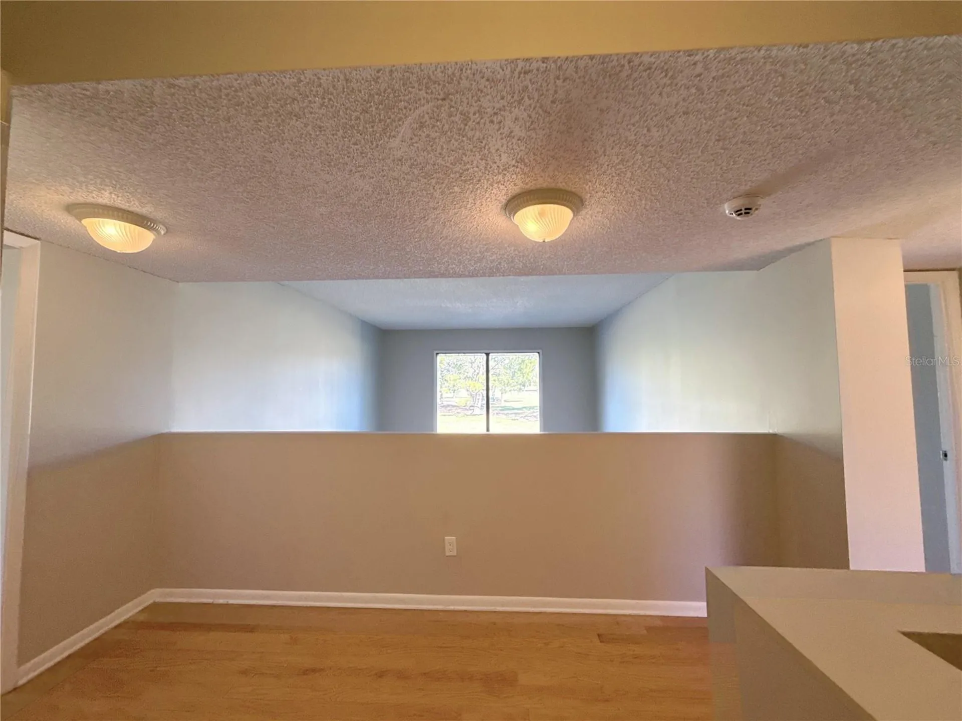 13516 Palmwood Lane Tampa FL 33618