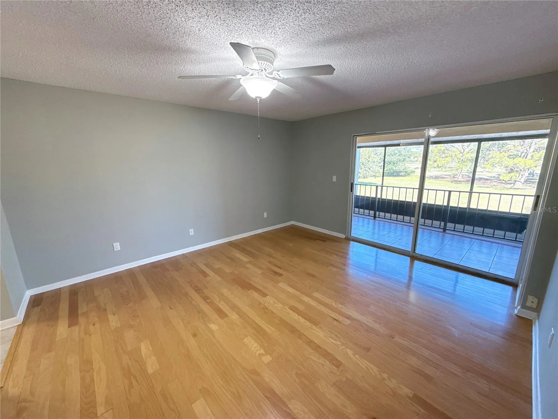 13516 Palmwood Lane Tampa FL 33618