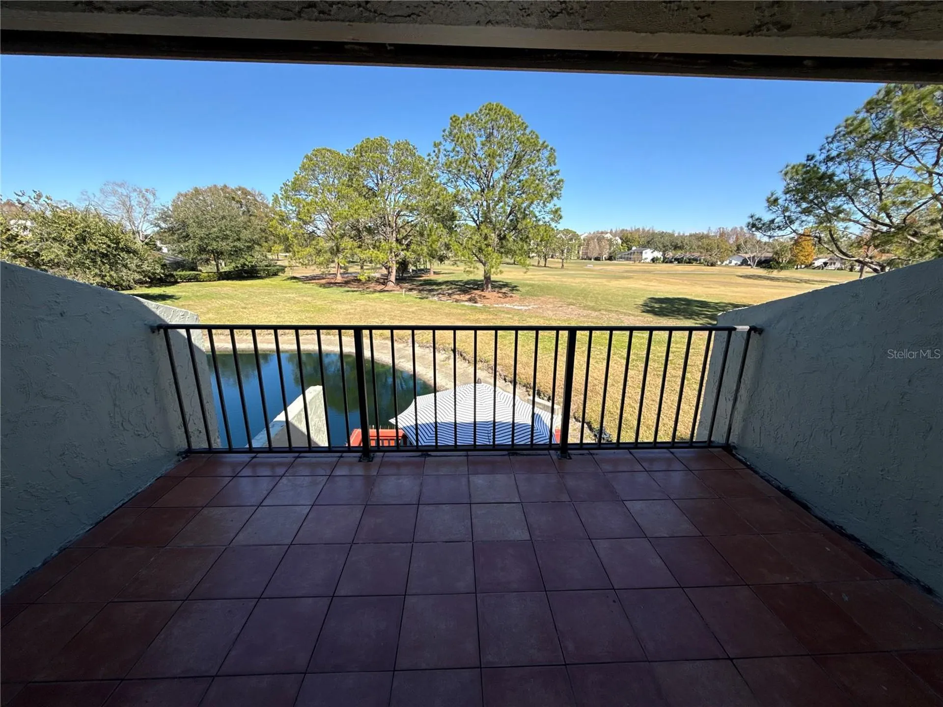13516 Palmwood Lane Tampa FL 33618