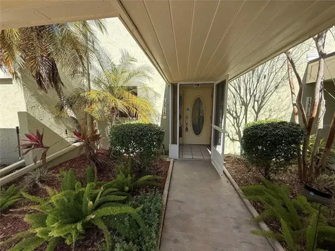 13516 Palmwood Lane Tampa FL 33618