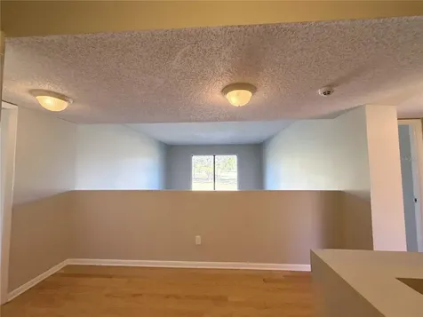 13516 Palmwood Lane Tampa FL 33618