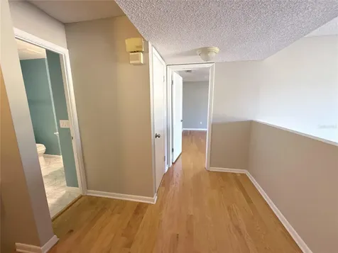 13516 Palmwood Lane Tampa FL 33618
