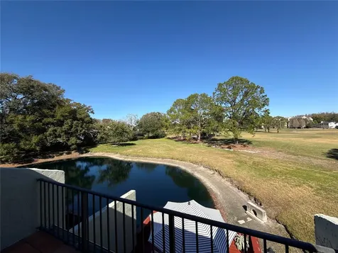 13516 Palmwood Lane Tampa FL 33618