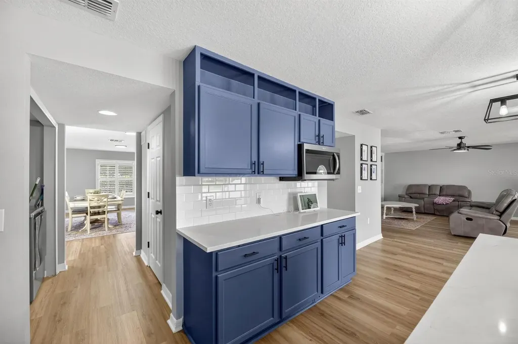 13531 Mango Bay Drive Riverview FL 33579