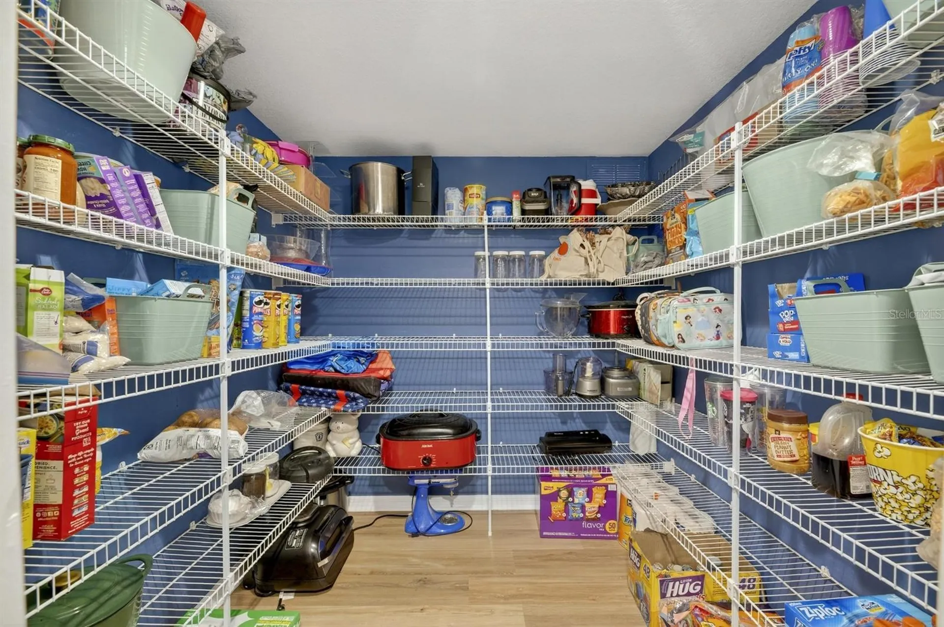 13531 Mango Bay Drive Riverview FL 33579